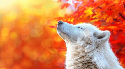 Naklejka premium A white wolf stands before a tree, with its head turned to the side and eyes closed