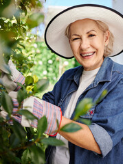 Happy and mature woman gardening and flower inspection in nature for eco friendly hobby in retirement. Senior, female person and smile with plant checkup in backyard for sustainable agriculture