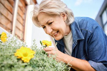 Happy and mature woman smelling flowers and gardening in nature for eco friendly hobby in...