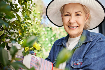Happy and mature woman gardening and flower inspection for eco friendly hobby in retirement. Senior, female person and smile with plant or leaves for farming and sustainable agriculture in backyard