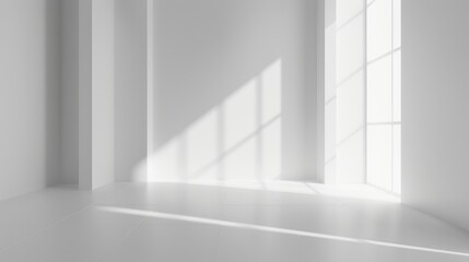 Fototapeta premium Abstract setting with a pristine white empty area and a seamless background .