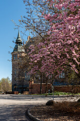 old town hall in spring