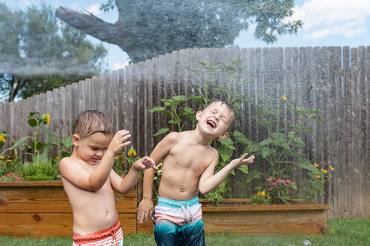 young brothers enjoy summertime water fun in backyard