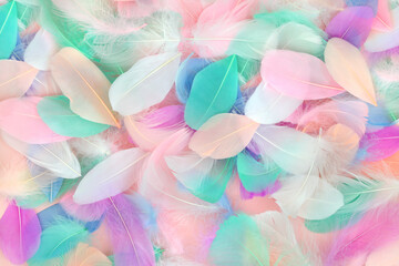 Feather beauty abstract dreamy ethereal colorful background. Soft beautiful textured design for...