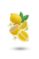 Flying group lemon with slices and flower isolated on white background.