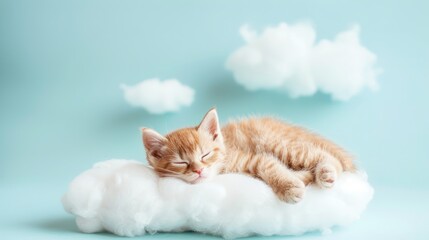 Fototapeta premium A lovely kitty is dozing on a cloud on a delicate blue background.