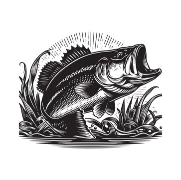 black bass fish jumping water clip art preview