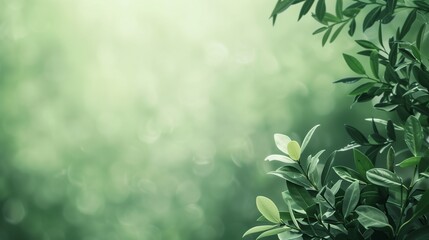 A serene nature-based image featuring elegant elements, lush greenery, and ample copy space for your text. The blank space allows for versatile use in various design projects and marketing materials.