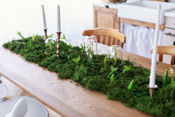 Interior of table for guests with natural decor and candles. Festive decorated eco Composition on table with of natural green stabilization moss, plants and snowdrops flowers under flask dome.