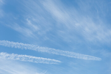 初夏の空