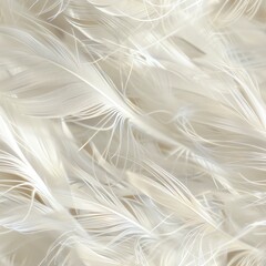 Close-up shot of soft feather details, capturing the delicate wisps and natural textures, ideal for detailed ornithological studies