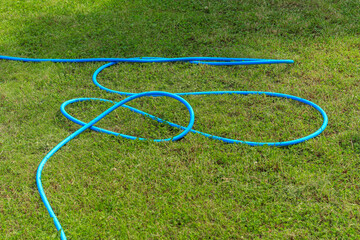 Blue garden hose for watering the lawn