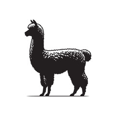 Detailed Alpaca silhouette vector for artistic creations Alpaca illustration
