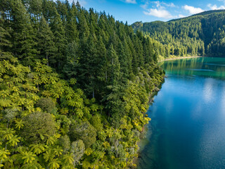 Aerial: Scenic Blue Lake and Surrounding Redwood forest, Rotorua, New Zealand