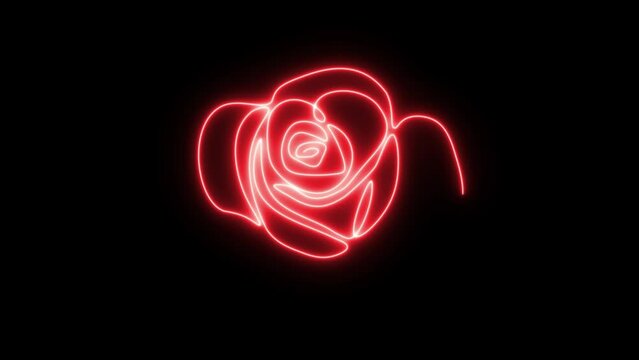Self drawing animation one continuous line draw, logo, neon red rose