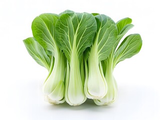 Fresh Bok Choy Stalks Isolated on White