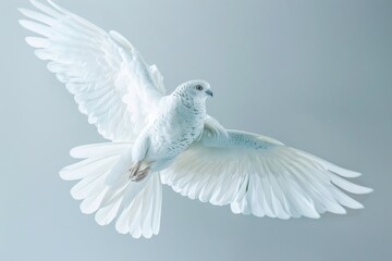 White Bird Flying Through Gray Sky - Powered by Adobe