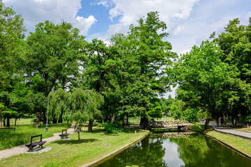 Vivid landscape in Nicolae Romaescu park from Craiova in Dolj county, Romania, with lake, waterlillies and large green tres in a beautiful sunny spring day with blue sky and white clouds