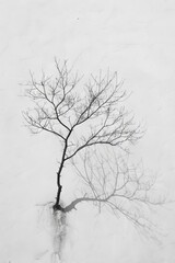 Obraz premium Bare Tree Reflecting in Water