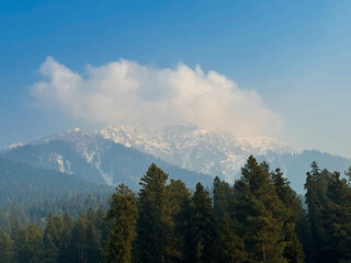 Unraveling the Unparalleled Beauty - Baisaran Valley, Kashmir's Hidden Gem