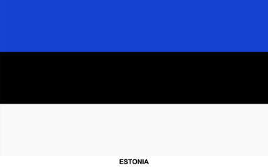 Obraz premium Flag of ESTONIA, ESTONIA national flag