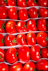 Fresh picked tomatoes straight from the garden, ready for sale, natural product
