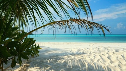 Summer tropical beach landscape featuring white sand