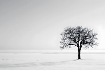Fototapeta premium A minimalist composition of an isolated tree in the middle of a snowy field