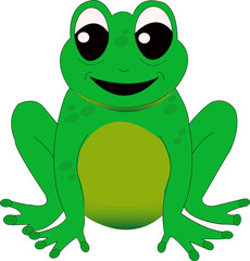 Grenouille verte de face, souriante sur fond blanc	