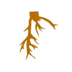 Brown tree root