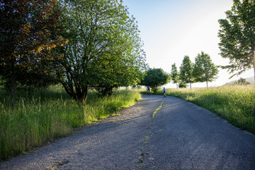cyclists in helmets ride on an asphalt road, highway in the field, sport, sunset, sun, tall grass, trees, forest, mountains, summer, meadow, rest, walk, tourism