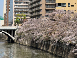 bridge over river