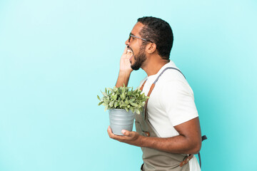 Gardener latin man holding a plant isolated on blue background shouting with mouth wide open to the...