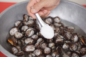 Close up hand holds spoon of salt to put into bowl of fresh clams for cleaning. Concept, Trick for cleaning fresh food before cooking to get rid of dirty and stinking smell.         