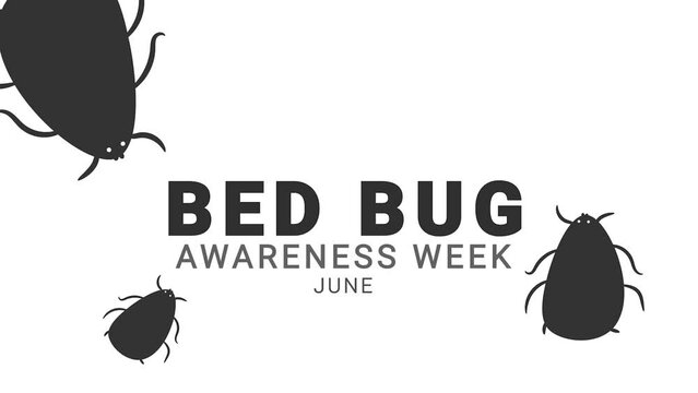 Bed bug awareness week. Bug animation.