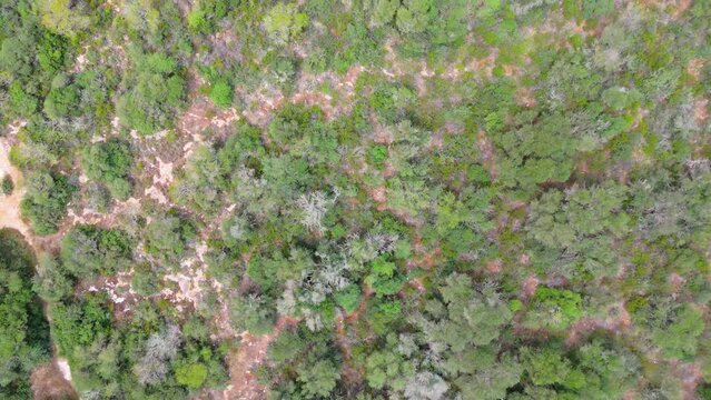 Videos aereos de menorca desde el aire, baleares y sus playas. 