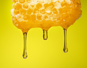 Golden fresh honey dripping down from honeycomb close up on yellow background.