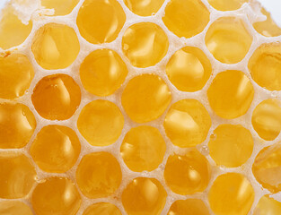 Fresh honeycombs filled with fresh honey closeup. Organic food background.