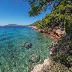 Fototapeta premium Calm, clear sea water of the Mediterranean Sea and the greenery of the rocky coast.