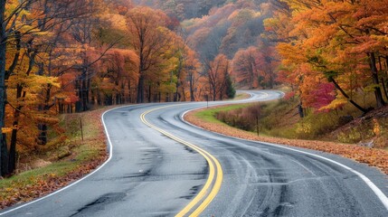 Fototapeta premium Skyline Drive winds through autumn foliage