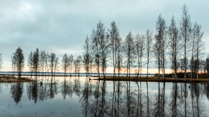 landscape with a flooded lake, dark silhouettes of trees in the backlight, reflections of trees in...