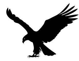 schwarze Silhouette Kontrast Adler isoliert auf weißen Hintergrund, Freisteller