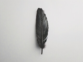 Single elegant feather, minimalist style, against a soft background.