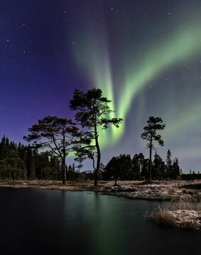 Scenic view of Northern lights by a little pond in Bymarka, Trondheim, Norway