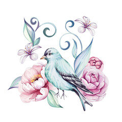 Obraz premium Watercolor springtime composition - blue victorian beard and pink roses, flower, brunch and leaves. Springtime botanic. Romantic peony. Isolated. For greeting cards, wedding, fabric, printing