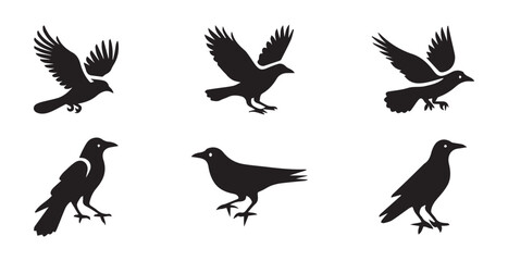 Fototapeta premium set of six crow silhouettes on white