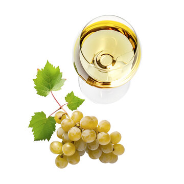 White wine glass with decorative grapes, top view on transparent background. Ideal for both light or dark backgrounds.