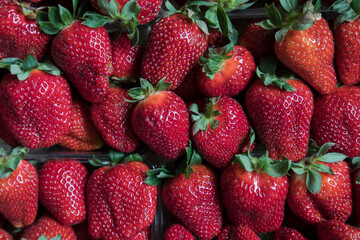 Close up shot of the cultivated strawberries in the market counter