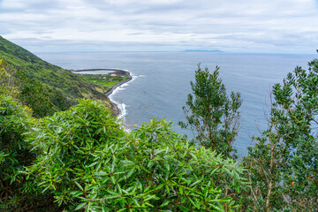 surrounding area of the Fajãs de Santo Cristo route on the PR1 trail. Green landscape. São Jorge Island-Azores-Portugal