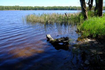 Beautiful spring scenery of Glebock Lake, Podlasie, Warmia and Masuria, Poland 